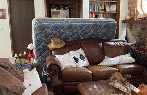 Only a few get it right – but can you find the cat in this picture?