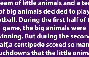 Two teams of animals playing football.