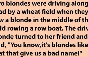 Two blondes were driving along a road.