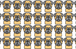 can you find the dog that is differents from the rest?