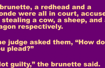 A brunette, a redhead and a blonde were charged with theft.