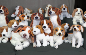 Can you find the real dog?