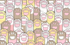 Can you find the odd paw in this brainteaser?
