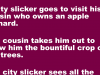 A city slicker goes to visit his cousin who owns an apple orchard
