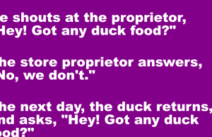 A duck walks in to a store.