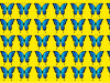 Can You Identify The Odd Butterfly In This Visual Test?