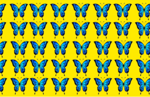 Can You Identify The Odd Butterfly In This Visual Test?