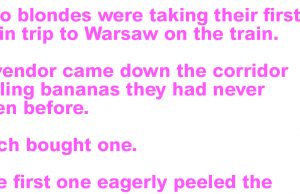 Two blondes were taking their first train trip to Warsaw on the train.