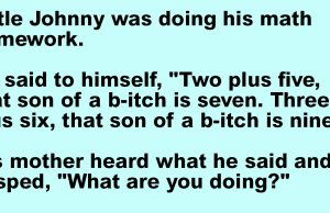 Little Johnny was doing his math homework.