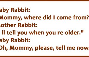 Where did I come from?