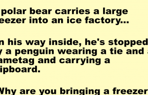 A polar bear carries a large freezer into an ice factory