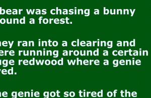 A bear was chasing a bunny around a forest.