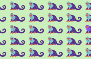 Spot the different monkey!