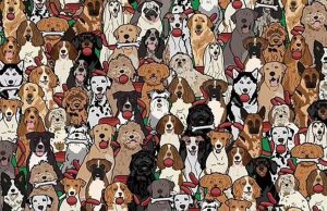 Can YOU find the DOG who stole the sausage in less 15 seconds?