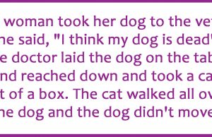 A woman took her dog to the vet.