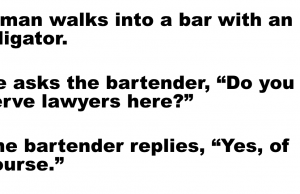 A man walks into a bar with an alligator.