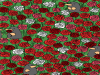 Can you find 3 tiny hearts hidden in this rose garden?