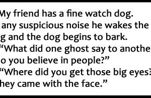 The Best One Liner Jokes Collection.