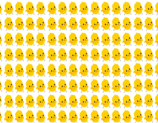 Find the odd baby chick in this puzzle!