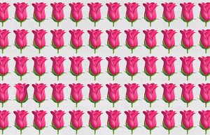 How Quickly Can You Spot The Odd One Out? Not Many Can Do It Under 10 Seconds!