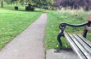 Most people will fail this test – can you find the dog in this photo?