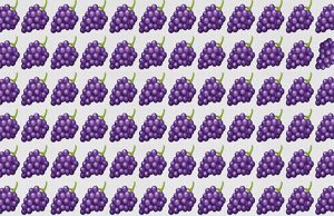 Only Geniuses Can Spot All The Odd One Out In 40 Seconds