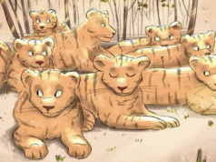 Can you spot the hidden jaguar in this optical illusion in just six seconds?