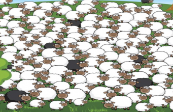 Can YOU spot the sleeping sheep in less than 20 seconds?