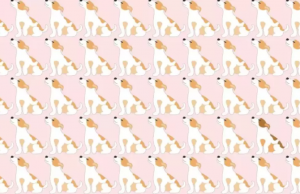 Find the odd Dog in less than 30 seconds!