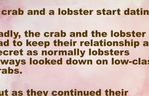 Funny: A crab and a lobster start dating.
