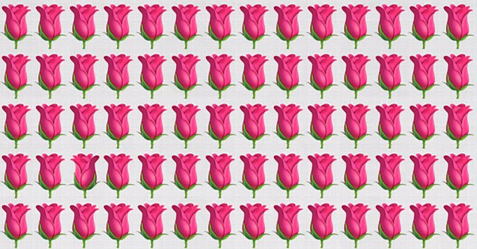 How Quickly Can You Spot The Odd One Out? Not Many Can Do It Under 50 Seconds!