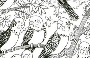 Find Mouse, Umbrella, Pencil and Carrot.