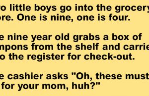 Two little boys go to the grocery store