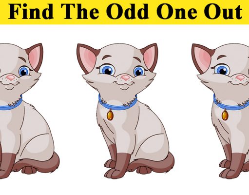 You Have Only 40 Seconds To Find The Odd One!