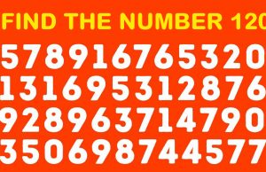Find The Number 120.
