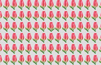 Only High IQs Can Spot The Odd One Out In All 5 Images