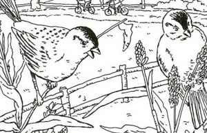 Find Cupcake, Umbrella, Candle and Kite.