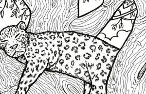 Find Fish, Heart, Shoe and Banana.