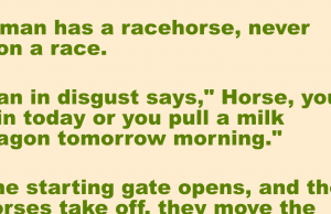 A man has a racehorse, never won a race.