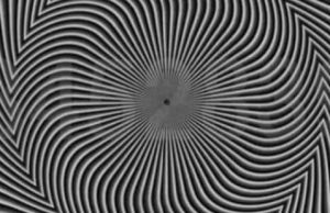 Find The Hidden Number.