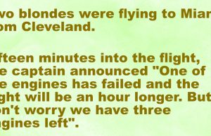 Two blondes were flying to Miami from Cleveland