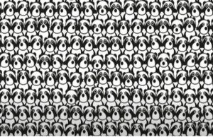 Only a genius can find all of the hidden pandas. Can you find them all?