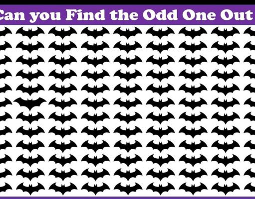 How Quickly Can You Spot Odd One Out? Not Many Can Do It In Under 30 Seconds!