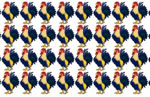 90% of Human beings failed to find the odd one out from the images.