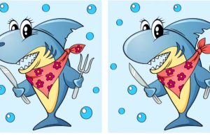 Can you spot all the differences between these two pictures?