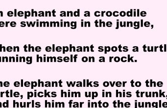 An elephant and a crocodile were swimming in the jungle