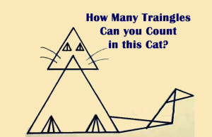 How many Triangles can you see in this Cat?