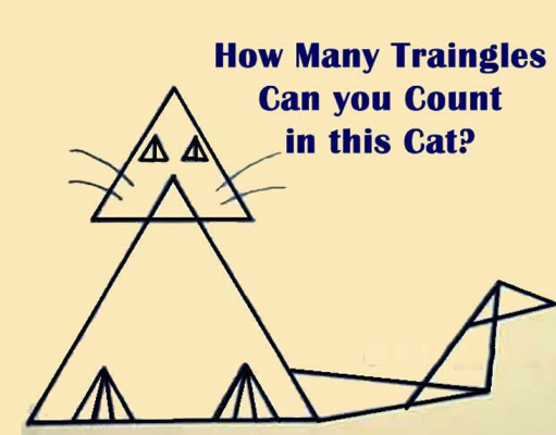 How many Triangles can you see in this Cat?