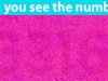 There’s a four-digit number hiding in this picture – but can you see which one it is?