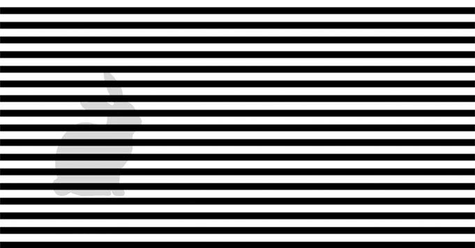 Only People With Unique Observational Skills Can Spot This Hidden Image!